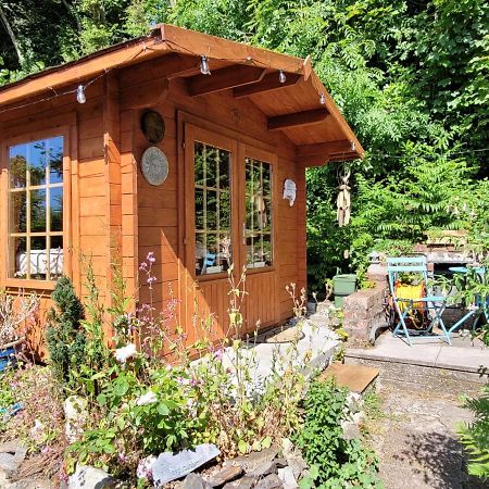 Tan Y Coed'S Rosemary Cabin 康威 外观 照片