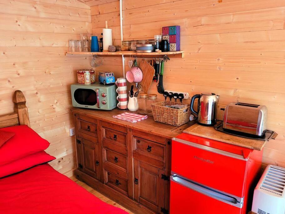 Tan Y Coed'S Rosemary Cabin 康威 外观 照片