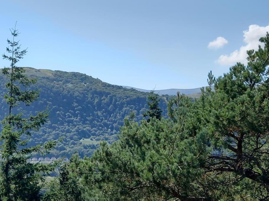 Tan Y Coed'S Rosemary Cabin 康威 外观 照片
